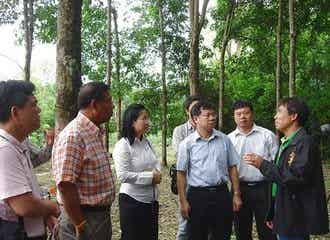 山东商团赴泰国考察市场和采购橡胶