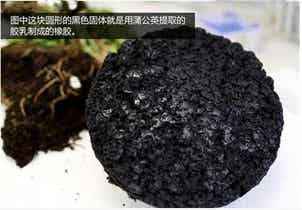 橡胶机械网
