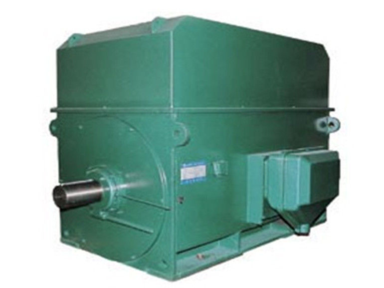 西安泰富西玛电机YTM磨煤电机,西玛YTM高压磨煤机专用三相异步电动机