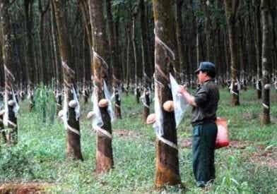 橡胶机械网