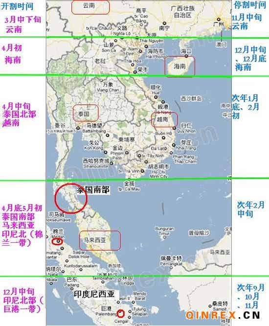 橡胶机械网