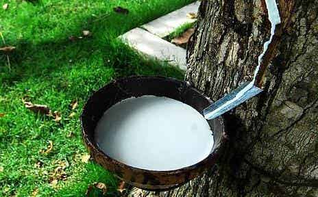 住友橡胶成立橡胶采购子公司